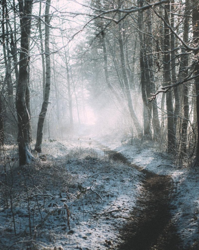 A footpath through light forest during a winter with light snow coverage
