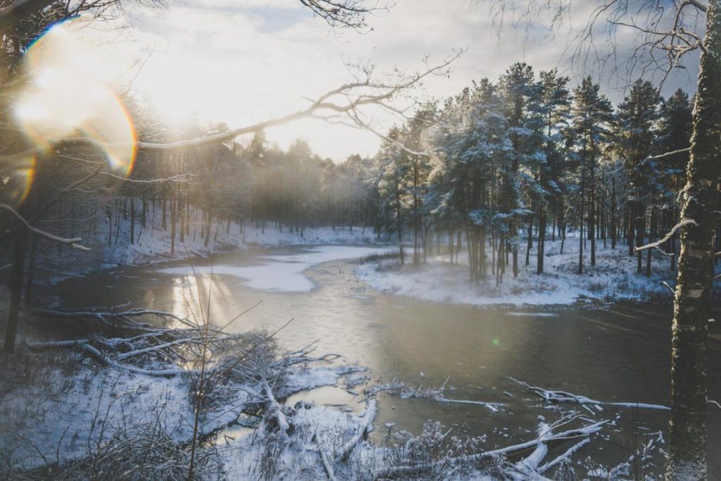 Rays of sunlight flaring over the lens in a wintry scene in Valmiera, Latvia