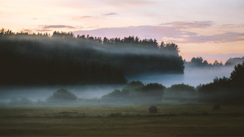 Rolling fog through the fields of Latvia, with haybales and thick forestry behind