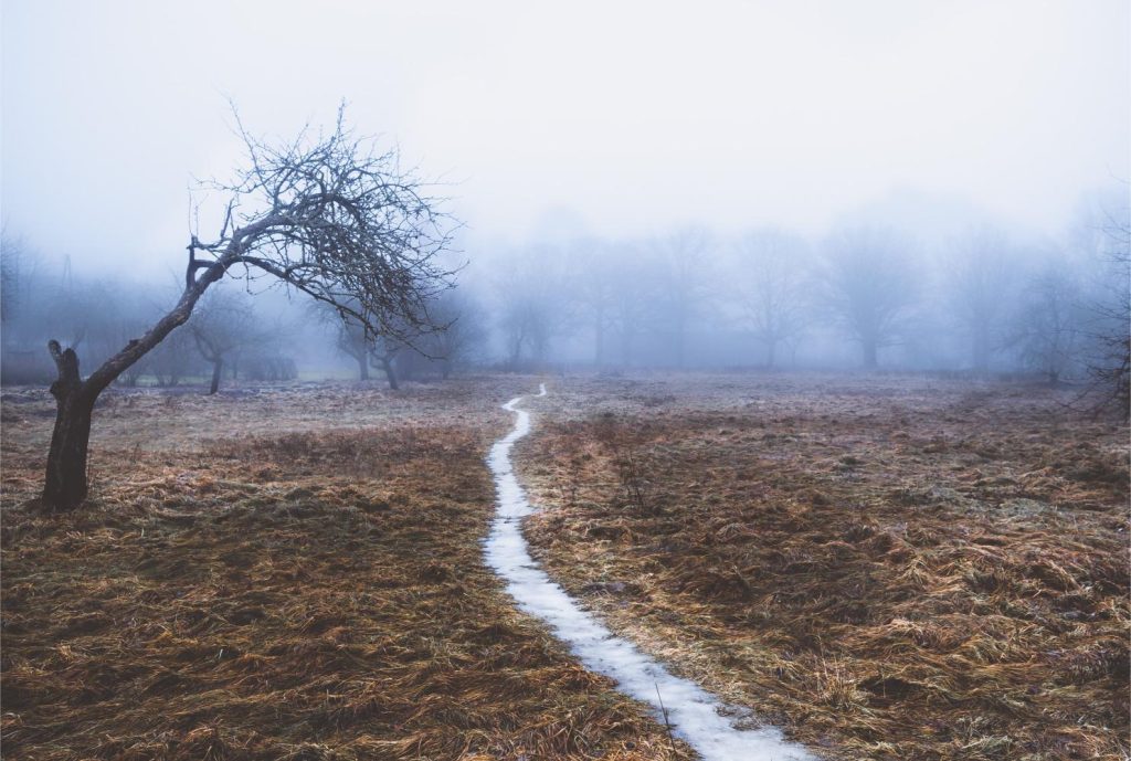 The moment between the seasons shift from winter to spring, a foothpath and a broaken tree