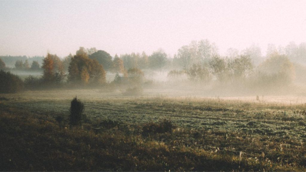 A nostalgic and warm morning light envelops the fields of Valmiermuiža