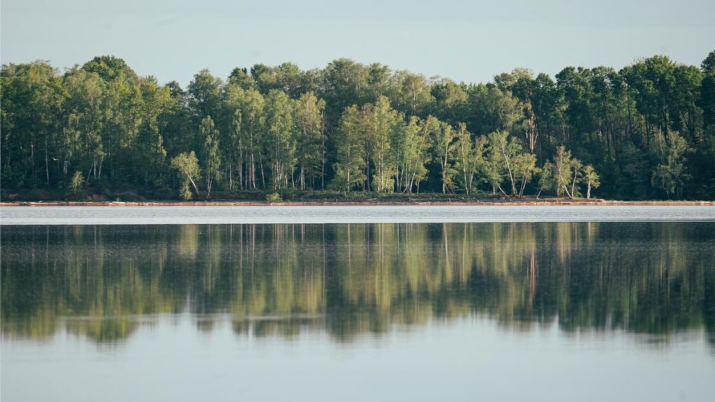Perfectly still water reflection on a clear summer day