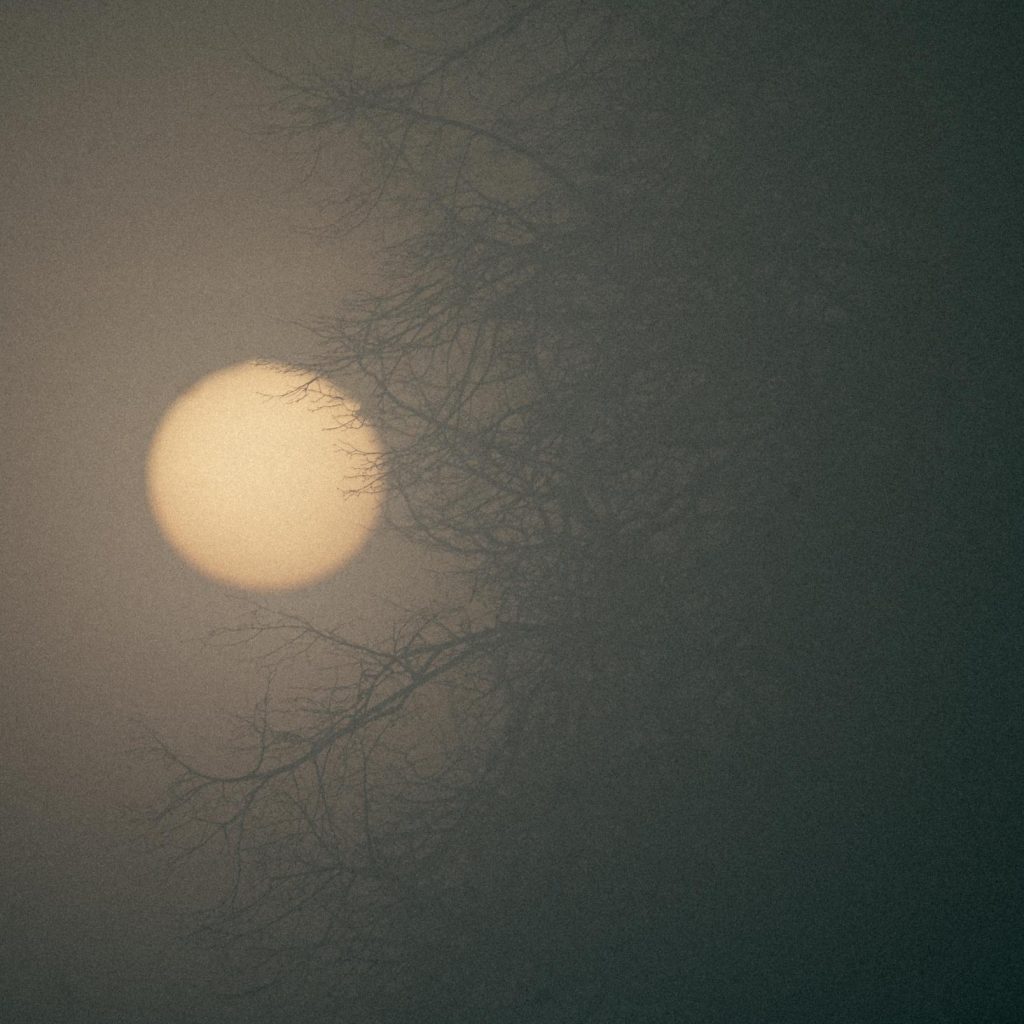 A hazy sun can be seen through the branches on a late spring evening